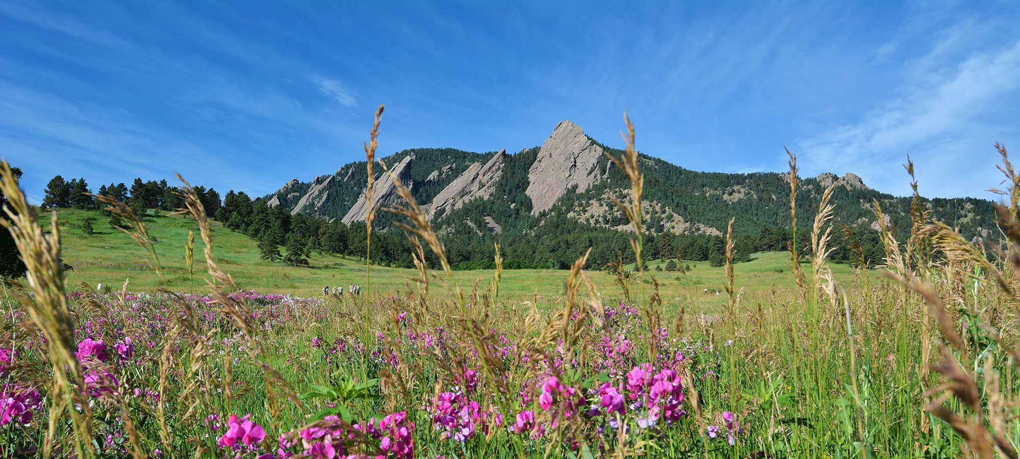 Exploring the Best Fishing Spots in Boulder: What You Need to Pack  About  Boulder County Colorado - Visitor and Local Guide to Boulder County Colorado