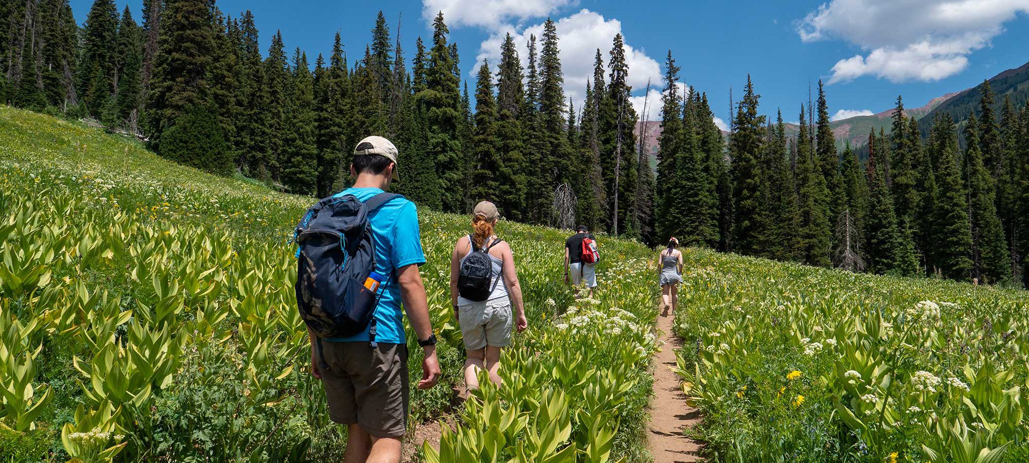 Students Hiking