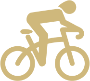 Biker Icon