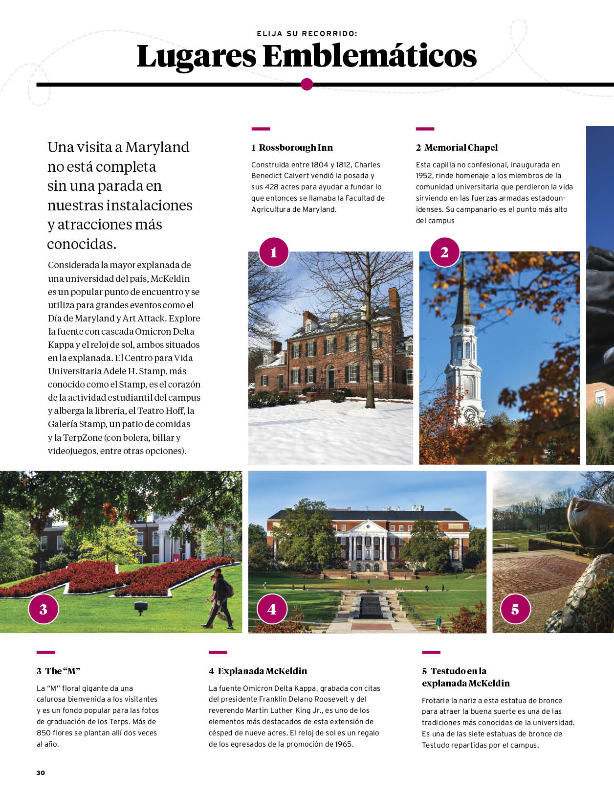 Multi_Page_Importer_Rect