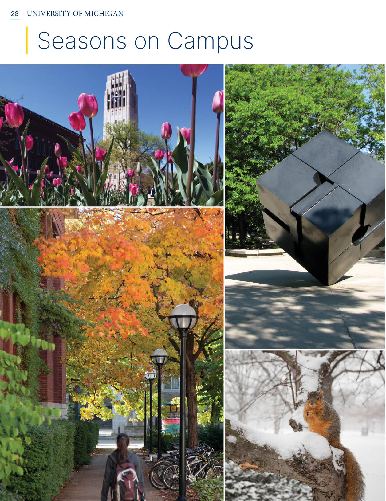 Multi_Page_Importer_Rect