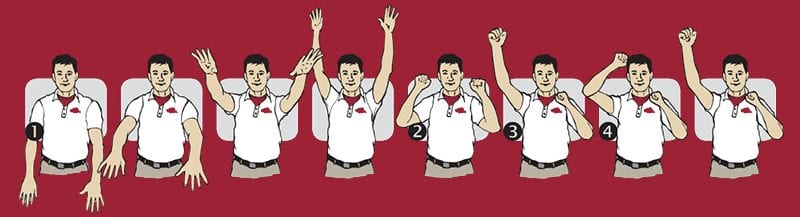 Calling All Hogs Moves