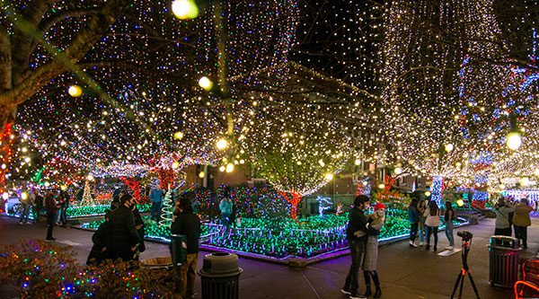  Fayetteville Holiday Lights-