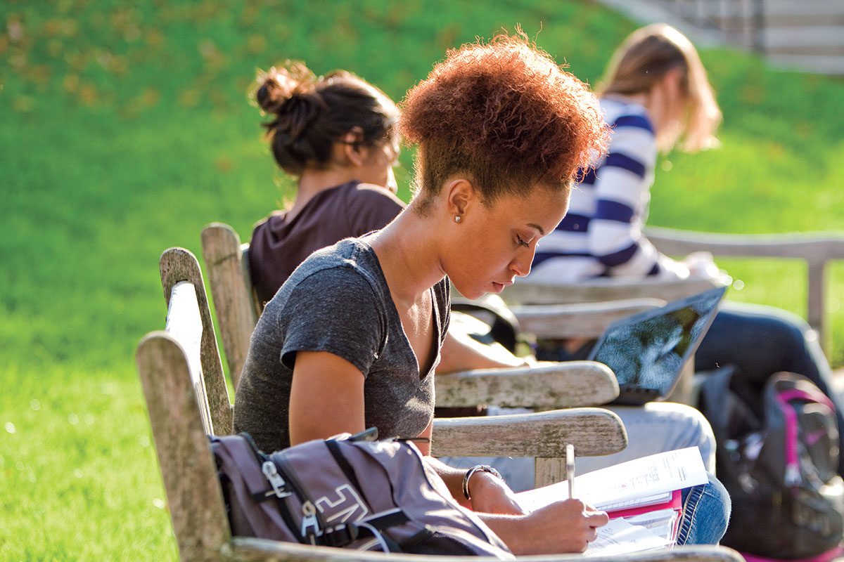 Student Studying