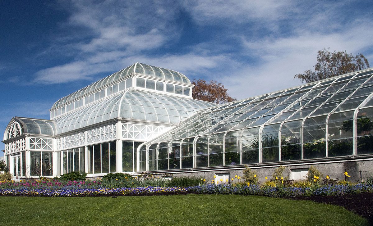 The Washington Park Arboretum offers a serene pause to the busy hustle and high-rises of Seattle with its greenhouse full of nature.
